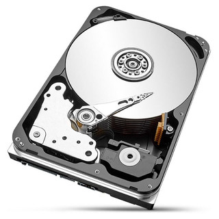 SEAGATE 希捷 酷鹰SkyHawk AI系列 3.5英寸监控级硬盘 12TB 256MB(7200rpm、PMR)ST12000VE0008