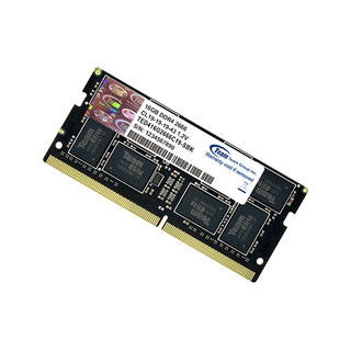Team 十铨 DDR4 2666MHz 笔记本内存 16GB TED416G2666C19-SBK