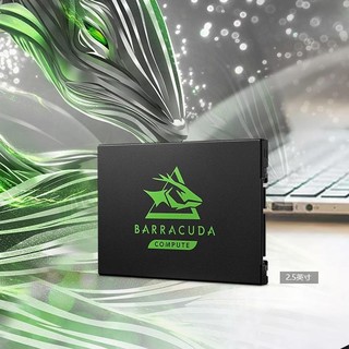 SEAGATE 希捷 120系列 酷鱼 BarraCuda SSD  固态硬盘 SATA接口 ZA250CM10003