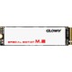  光威（Gloway）480GB SSD固态硬盘｜M.2接口(NVMe协议)｜骁将系列-极速版｜五年质保　