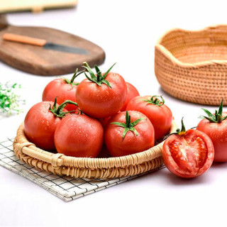 山东蔬菜之乡迷你普罗旺斯西红柿4斤包邮柿子2