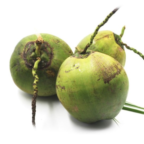 fruitfruit果果海南青皮椰子9个约6kg