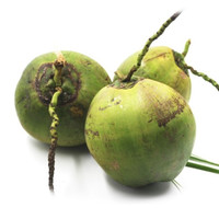 Fruit Fruit 果果 海南 青皮椰子 9个 约6kg