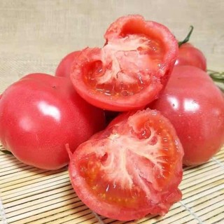 鲜谷果元 普罗旺斯西红柿包邮 四斤装 约20粒