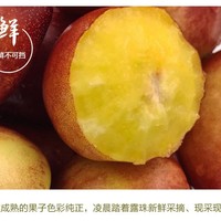 倔丫头  黄心油桃   3斤/箱