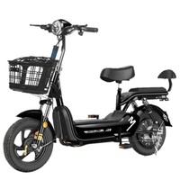 JZBOO 加州豹 电动自行车 TDT009Z 48V12Ah铅酸电池 黑色