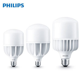 飞利浦PHILIPS LED中低天棚灯 65W E40 865 CN 白光 4只装 可订制