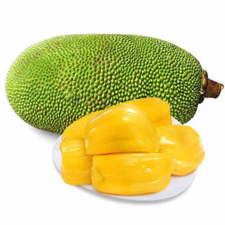 海南三亚菠萝蜜 热带水果 黄肉干苞菠萝蜜 产地现摘现发 海南特产 坏果包赔 15斤-19斤/个 *2件