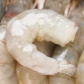鲜尝态 沙特白虾毛重1.2kg  净重1kg/约50-60只