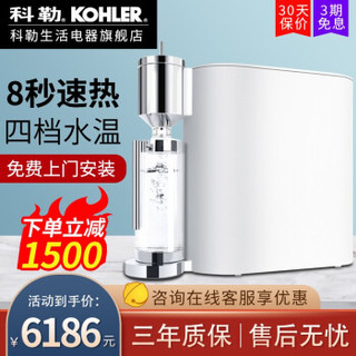 科勒（KOHLER）净水器加热一体机家用自来水直饮净热随心饮思丹净水器反渗透即热净水机78433T 科幻银(实物不含水杯）