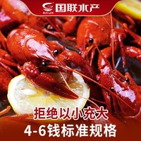 15日21点：国联水产麻辣小龙虾蒜香油焖小龙虾即食龙虾750g