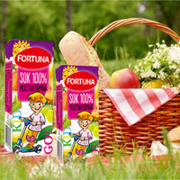 波兰进口富尔图娜100%零添加儿童天然纯果汁补充vc200ml*12盒
