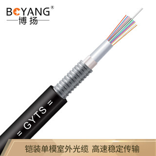 博扬（BOYANG）BY-GYTS-12B1 铠装12芯单模室外光缆 GYTS层绞式室外架空/管道网线光纤线 2000米/轴