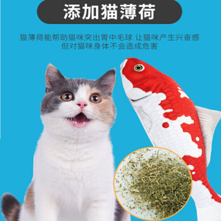 憨憨乐园 猫玩具猫薄荷逗猫玩具猫抱枕锦鲤宠物仿真毛绒猫咪鱼玩具 红白锦鲤款 大号