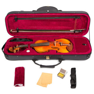 相思鸟(LOVEBIRD) 手工小提琴 4/4全板 云杉木枫木 成年人考级专业演奏小提琴带随行包湿度计 哑光 XS6104