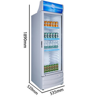 星星（XINGX）235升单门冷藏展示柜 立式冰柜商用冰箱 饮料饮品保鲜柜冷藏陈列柜LSC-235C