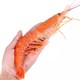 限地区、京东PLUS会员：阿根廷红虾 L1（大号）4斤 30-40只 *2件
