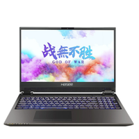 Hasee 神舟 超级战神系列 Z10-CU7PF 笔记本电脑 (黑色、酷睿i7-10750H、16GB、256GB SSD+1TB HDD、RTX 2070 Super)
