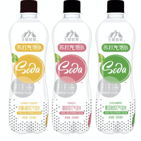 中沃 王屋岩泉苏打气泡水 500ml*15瓶整箱