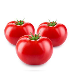 杜柿番茄  番茄 500g/袋 *5件 +凑单品