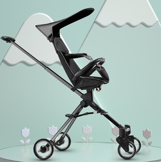 BabyCare 婴儿可换向四轮推车
