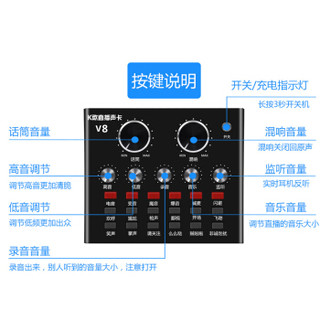 乐图（LEKO） 麦克风唱吧录音手机直播设备声卡套装唱歌全套设备网红电脑主播全民K歌抖音户外喊麦 V8声卡【不含麦】