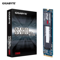GIGABYTE 技嘉 256G SSD M.2固态硬盘