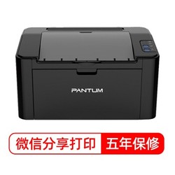 PANTUM 奔图 P2206W 黑白激光打印机