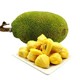 自由王果 海南黄肉菠萝蜜 17到20斤