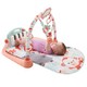 费雪（Fisher Price）婴儿玩具脚踏钢琴健身架 婴幼儿益智玩具音乐玩具