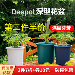 IRIS爱丽思大号深型Deepot花盆爱丽丝大口径圆形花盆家用PP树脂塑料盆景 直径约33.8厘米 10号深型浅绿加托盘 *2件+凑单品