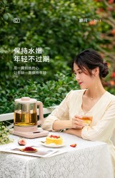 LIFE ELEMENT 生活元素 生活元素养生壶办公室家用多功能小型烧水壶保温一体煮茶器煮茶壶