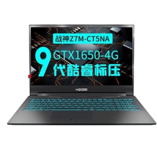 Hasee 神舟 战神系列 Z7M-CT5 定制版 笔记本电脑 (黑色、酷睿i5-9300H、8GB、512GB SSD、GTX 1650)