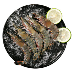 TOUSH’S 拓食 越南生冻黑虎虾(特大号)400g/盒 10-14只 *3件