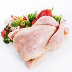 筱诺 生鲜 散养三黄童子鸡 新鲜现杀 750g/只 *2件