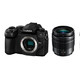 Panasonic 松下 G95 微单数码相机 套机（12-60mm F3.5-5.6 标准变焦镜头)