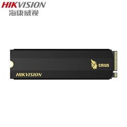 HIKVISION 海康威视 Q2000 NVME 固态硬盘 1000GB
