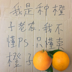 鲜梦想 秭归酸甜鲜橙 带箱5斤装