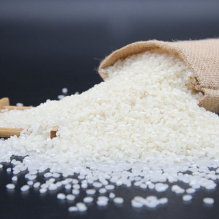 崇明岛2020新品上市大米10kg（20斤）红岛软糯香粳米非泰国香米 *3件