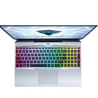 MACHENIKE 机械师 F系列 F117 竞速版 笔记本电脑 (银色、酷睿i7-9750H、8GB、512GB SSD、GTX 1660Ti 6G)