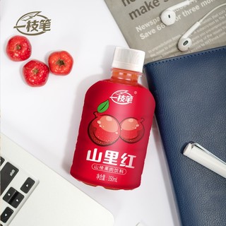 一枝笔 山楂汁饮料 350ml*6瓶