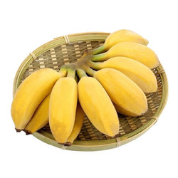 黔食荟 北纬22°蜜 香蕉 小米蕉  5斤装