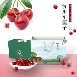 shui guo shu cai 水果蔬菜 汶川甜樱桃 1.5kg 大果