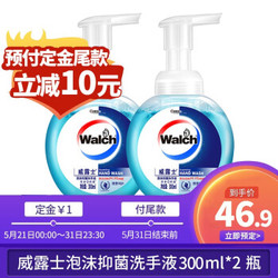 威露士（Walch）泡沫抑菌洗手液300ML*2瓶装  健康呵护 有效抑制99.9%细菌