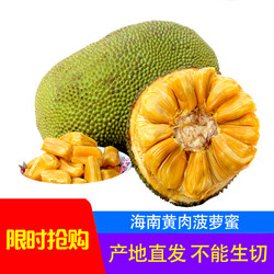 海南菠萝蜜 1个 18-22斤 黄肉菠萝蜜 新鲜水果 生鲜水果 国产水果 陈小四水果 其他