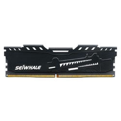 SEIWHALE 枭鲸 DDR4 2666MHz 台式机内存条 32GB