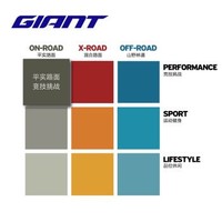 GIANT捷安特TCR Advanced 2 Disc碳纤维油压碟刹22速公路自行车 金属黑 XS(适合身高157-167cm)