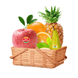 京觅 经典水果嗨吃套餐 22斤内含4种水果