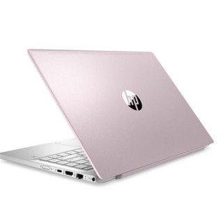 HP 惠普 星14 十代酷睿版 14.0英寸 轻薄本 粉色 (酷睿i5-1035G1、MX250、8GB、512GB SSD、1080P、IPS、60Hz)