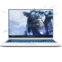MACHENIKE 机械师 战空 F117-V 15.6英寸 游戏本 银色(酷睿i7-10750H、GTX 1650Ti 4G、16GB、512GB SSD+1TB HDD、1080P、144Hz)
